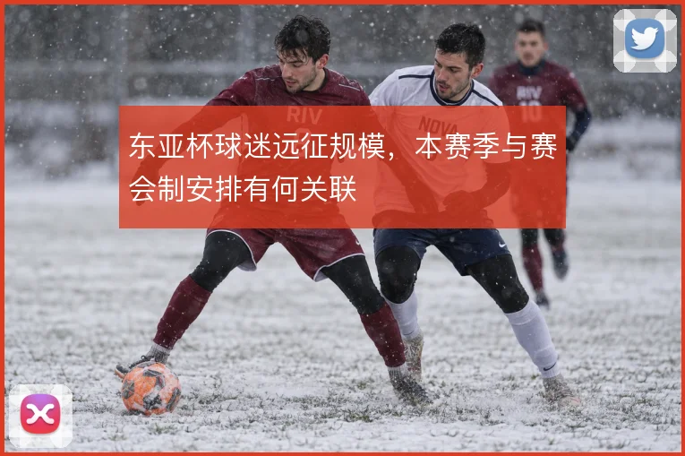 东亚杯球迷远征规模，本赛季与赛会制安排有何关联
