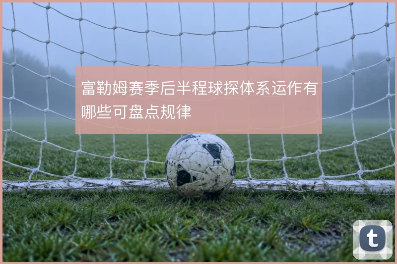 富勒姆赛季后半程球探体系运作有哪些可盘点规律