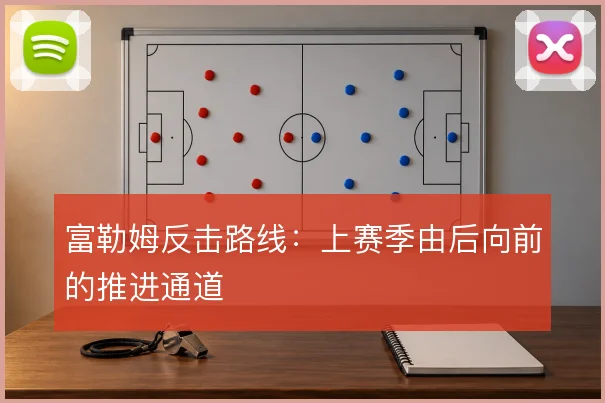富勒姆反击路线:上赛季由后向前的推进通道