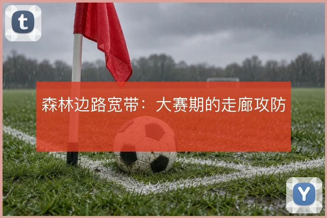 森林边路宽带:大赛期的走廊攻防
