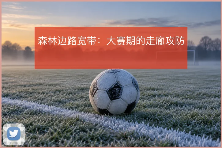 森林边路宽带:大赛期的走廊攻防